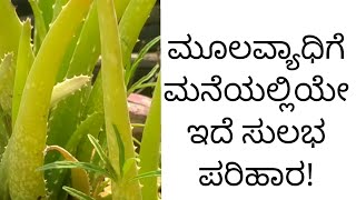 ಮೂಲವ್ಯಾಧಿಗೆ ಮನೆಯಲ್ಲಿಯೇ ಇದೆ ಸುಲಭ ಪರಿಹಾರ!||HOME REMEDIES FOR PILES