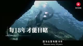 海底难道真的有人居住？海南发现72座海底村庄，至今还有生命气息