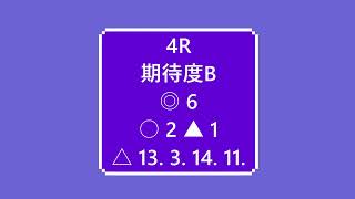 大井競馬全レース予想　２月１０日　ウマライフ