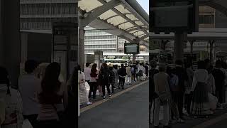 平日でも外国人観光客で賑わう京都駅！Kyoto Station is crowded with foreign tourists even on weekdays!#京都