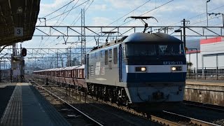 EF210 113号機(8784レ) 大垣駅通過