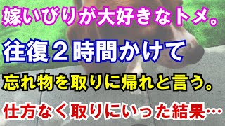 【修羅場】嫁いびりが大好きなトメ。往復２時間かけて忘れ物を取りに帰れと言う。仕方なく取りにいった結果…