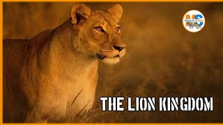 The Lion kingdom | Boqortooyada libaaxa | Full episode