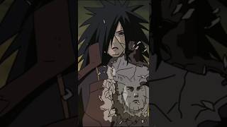 Why Hashirama Cells Is So Important #naruto