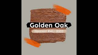 MY RESDIENCE COLOUR - GOLDEN OAK