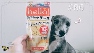 【犬のおやつ】ドギーマン®ダイヤカットチーズ !クリスマスの犬の手作りごはんのトッピングにピッタリ！イタグレのアリスと犬ばか飼い主の日常・犬のいる暮らし・#86・イッヌのいる暮らし