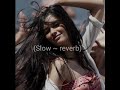 Cocktail - Tumhi Ho Bandhu (slowed~ reverb) | Kavita Seth||Night~Vibes