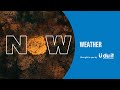 Weather: September 25th, 2025 | Herald NOW