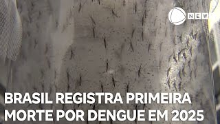 Brasil registra primeira morte por dengue em 2025