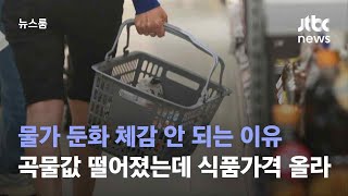 물가 둔화 체감 안 되는 이유…곡물값 떨어졌는데 식품가격 '고공행진' / JTBC 뉴스룸