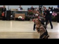 turība adult kristaps kalva lesia bogachova final samba