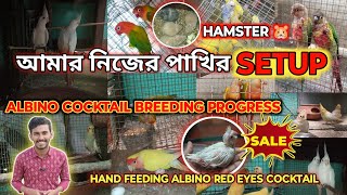 আমার বাড়ির পাখির SETUP এর UPDATE . ALBINO COCKTAIL BREEDING PROGRESS আরো কত পাখি নিয়ে এলাম #birds