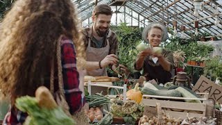 The Fascinating World of Wild Cabbage: History, Uses, and Benefits