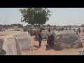 Nigeria: farmers, nomads fight over land