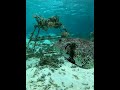 தமிழன் கடல் mycam underwater தமிழ் தமிழ்நாடு திருச்செந்தூர்