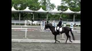 2014年　梅雨の県馬事公苑大会　A3課目　主人さん