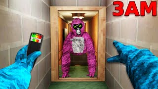 I Hunted Daisy09 at 3AM...