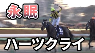 ハーツクライ亡くなる　2005有馬記念でディープインパクトを撃破