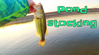 Pond Stocking: Stocking Forage Fish