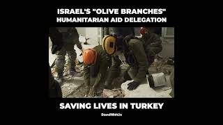 Israel's "Olive Branches" humanitarian aid delegation in Turkey
