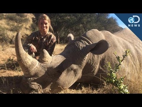 Does Hunting Exotic Animals Help Conservation? Does Hunting Exotic Animals Help Conservation?