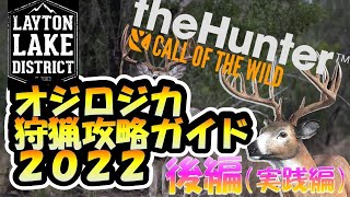 オジロジカ攻略ガイド2022後編 初期マップ【ザハンターコールオブザワイルド】