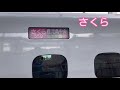 『新幹線』さくら559号　鹿児島中央行　車掌さん！窓から顔を出す‼️