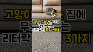 알아두면 후회없는 리터락커 꿀팁 3가지