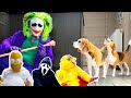 Funny Beagles Get Pranked By Scary Costumes Compilation #6