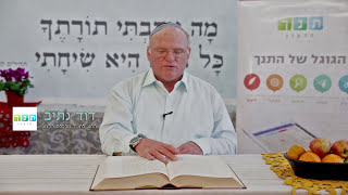 משממה לפריחה - דוד נתיב