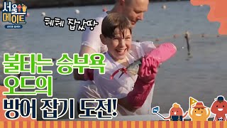 네덜란드 가족들의 방어 잡기 대작전!ㅣ#서울메이트 EP3-29