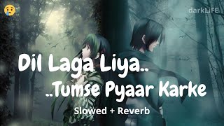 Dil Laga Liya - { Slowed + Reverb } Alka Yagnik - Udit Narayan | Dil Hai Tumhaara | darkLiFE