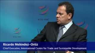 Debate: Trade and Sustainable Energy