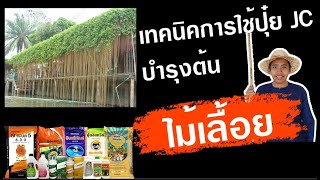 เทคนิคบำรุง ต้นไม้เลื้อย ด้วยปุ๋ยอินทรีย์ในเครือ JC // คลิก: BurinOnline.org