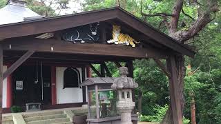 村山虚空蔵院　2021年6月下旬　山形県村山市