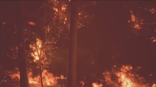 California working to implement stronger wildfire mitigation practices
