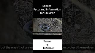 Vanoumous Snake - Snakes Facts & Information for Kids #snake #snakes #facts #kids #snakerescue