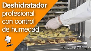 Deshidratador profesional con control de humedad para frutas, verduras, algas, hierbas, flores, etc