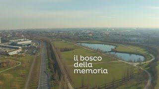 Bergamo, un Bosco della Memoria per ricordare le vittime del Covid