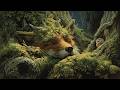 The Elder Tree Sanctuary - Relaxing Celtic Music for Inner Stillness