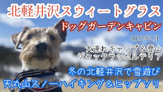 北軽井沢スウィートグラス　ドッグガーデンキャビン泊 天丸山スノーハイキング＆ヒップソリ犬連れ登山＆犬連れキャンプ#ジャックラッセルテリア #犬連れキャンプ #北軽井沢スウィートグラス