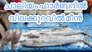 ചാലിയം ഹാർബറിലെ കച്ചവടം fishing harbour Chaliyam fishing harbour Chaliyam Kozhikode