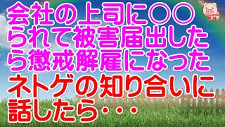 【スカッとする話 Ⅱ】会社の上司に〇〇られて被害届出したら懲戒解雇になった。ネトゲの知り合いに話したら・・・【衝撃的な話】（スカッとんCH）