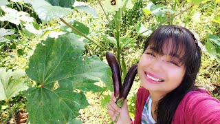 Stewed infinitely harvested vegetables with coconuts that fell in the typhoon