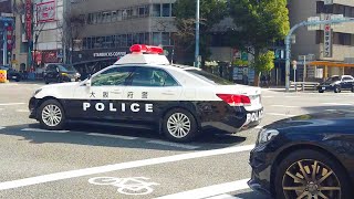 Police Cruiser Turning Left on Sonezaki St., Entering Yotsubashi Blvd. Heading for Osaka Station