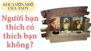 Chọn 1 tụ bài Tarot - Người bạn thích có thích bạn không? - Alo Andy