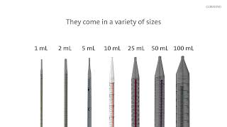 Corning® Stripette™ Serological Pipets