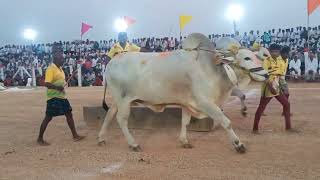 Madamanchipadu National Level Bulls Competition 2022 || మదమంచిపాడు ఎడ్ల బలప్రదర్శన|| #ఒంగోలుగిత్తలు