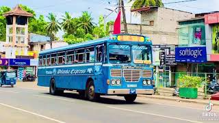 DILANKA EXPRESS 💙. අම්පාර 22 කොළඹ