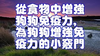 從食物中增強狗狗免疫力,為狗狗增強免疫力的小竅門